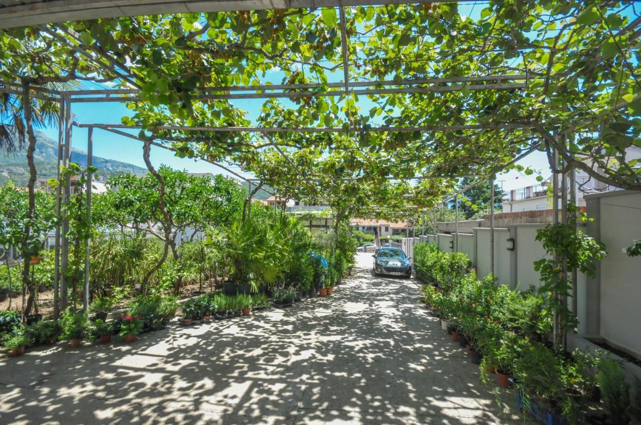 Tilia Apartments Μπούντβα Εξωτερικό φωτογραφία